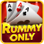 rummy novel